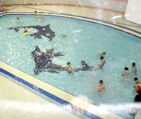 2nd Floor on the basement Swimming pool (children)