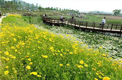 Pureun Arboretum & Hang-dong Railway